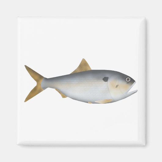 Argentinische Menhaden Magnet (Vorne)