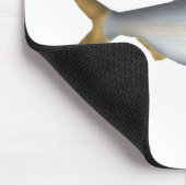 Argentinische Menhaden Mousepad (Ecke)