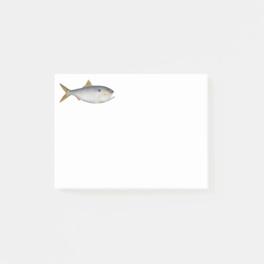 Argentinische Menhaden Post-it Klebezettel (Vorderseite)