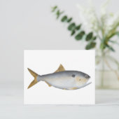 Argentinische Menhaden Postkarte (Stehend Vorderseite)