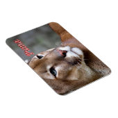 Argentinische Puma - Magnet (Rechte Seite)