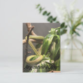 Argentinische Racer Snake Postkarte (Stehend Vorderseite)