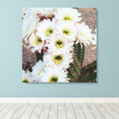 Argentinische Saguaro-Blume Leinwanddruck (Insitu (Holzboden))