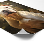 Argentinischer Hund/Dogo Argentino Poster (Ecke)