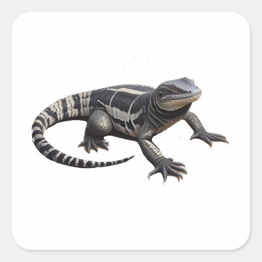 Argentinischer Schwarz-Weiß-Tegu Quadratischer Aufkleber (Vorderseite)
