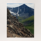 Argentinischer Spitzenreiter Puzzle (Vertikal)