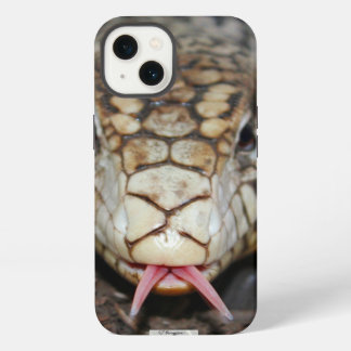 Argentinischer Tegu iPhone 13 Hülle