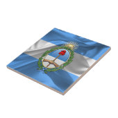 Argentinischer Wappen Fliese (Seite)