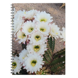 Argentinisches Cactus Blume Spiral Notebook Notizblock