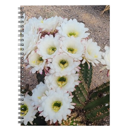 Argentinisches Cactus Blume Spiral Notebook Notizblock (Vorderseite)