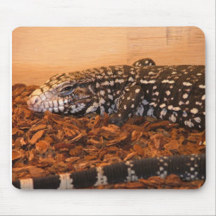 Argetine Schwarzweiss-Tegu Mousepad
