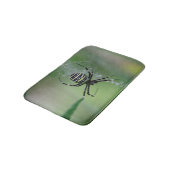 Argiope bruennichi badematte (Schrägansicht)