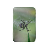 Argiope bruennichi badematte (Vorderseite Vertikal)