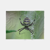 Argiope bruennichi fleecedecke (Vorderseite (Horizontal))