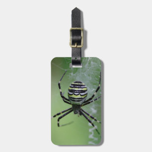 Argiope bruennichi gepäckanhänger