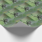 Argiope bruennichi geschenkpapier (Ecke)
