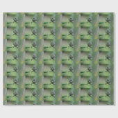 Argiope bruennichi geschenkpapier (Flach)