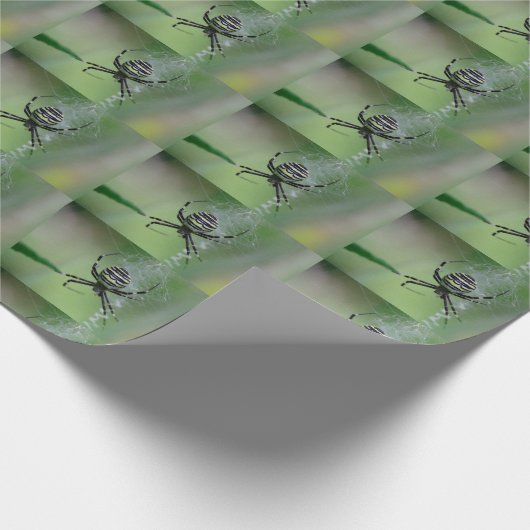 Argiope bruennichi geschenkpapier (Ecke)