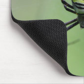 Argiope bruennichi mousepad (Ecke)