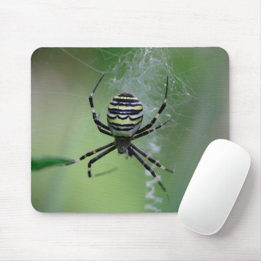 Argiope bruennichi mousepad (Mit Mouse)