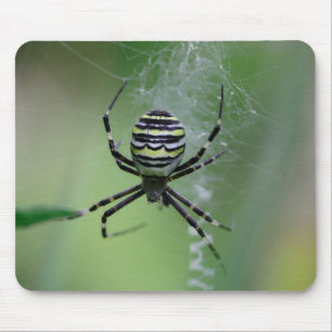 Argiope bruennichi mousepad