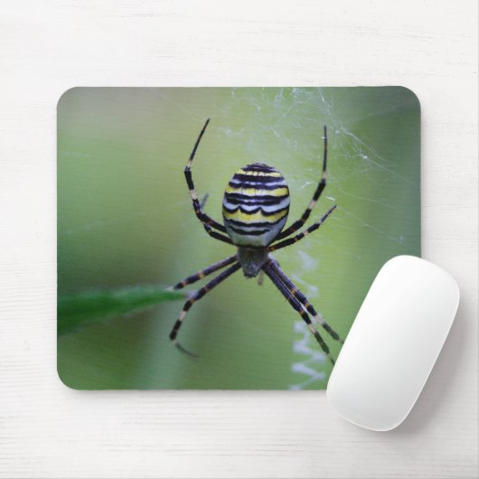 Argiope bruennichi mousepad (Mit Mouse)