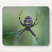 Argiope bruennichi mousepad (Vorne)