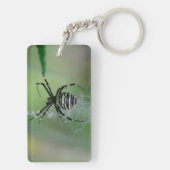 Argiope bruennichi schlüsselanhänger (Rückseite)