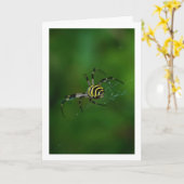 Argiope bruennichi, Wasp Spider, Orb-Weber Karte (Gelbe Blume)