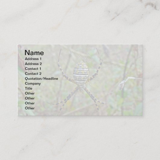Argiope Orb Weaver Spiders Visitenkarte (Vorderseite)