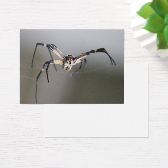 Argiope Spider Lover Gift (Schreibtisch)