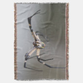 Argiope Spider Lover Gift Decke (Vorderseite Vertikal)