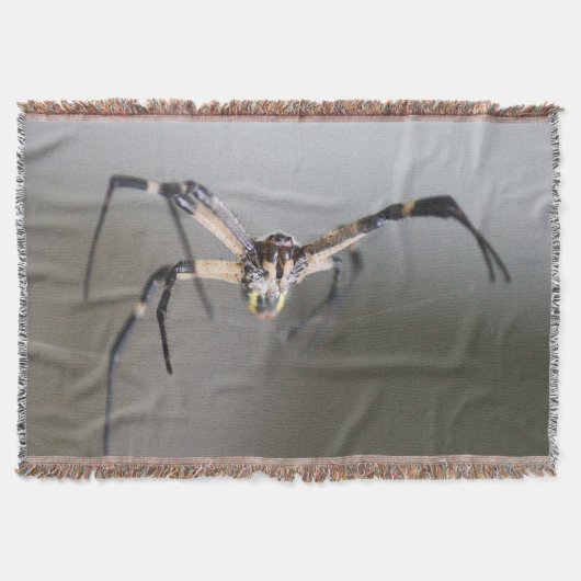 Argiope Spider Lover Gift Decke (Vorderseite)