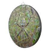 Argiope trifasciata Orb Weaver Spider Dartscheibe (Vorderseite rechts)