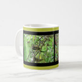 Argiope trifasciata Orb Weaver Spider Kaffeetasse (Vorderseite Links)
