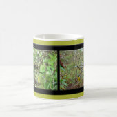 Argiope trifasciata Orb Weaver Spider Kaffeetasse (Mittel)