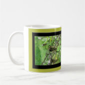 Argiope trifasciata Orb Weaver Spider Kaffeetasse (Links)