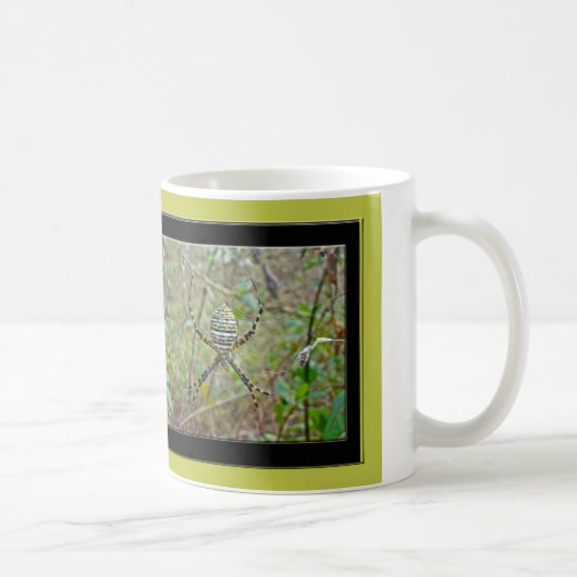 Argiope trifasciata Orb Weaver Spider Kaffeetasse (Rechts)