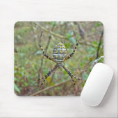 Argiope trifasciata Orb Weaver Spider Mousepad (Mit Mouse)