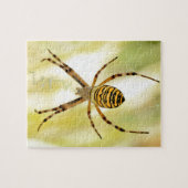Argiopspinne Puzzle (Horizontal)