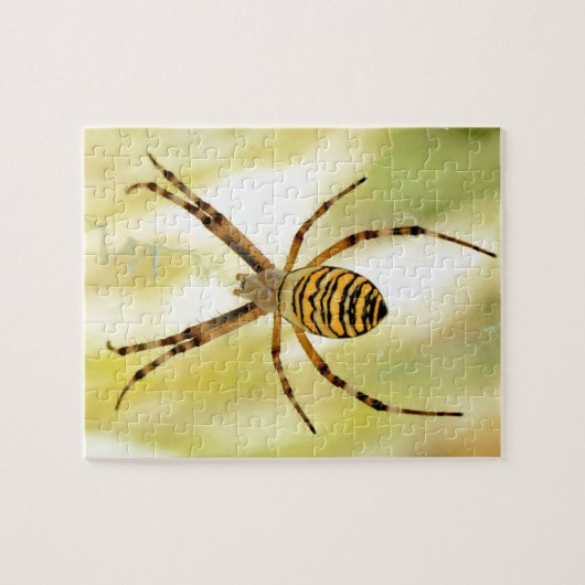 Argiopspinne Puzzle (Horizontal)