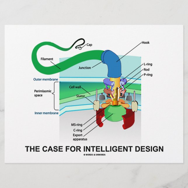 Argumente für intelligentes Design (Flagellum) (Vorderseite)