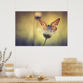 Argus-Schmetterlingsposter Poster (Küche)