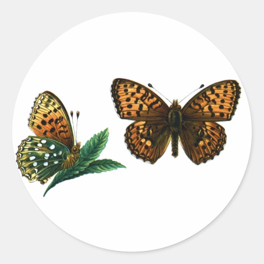 Argynnis aglaja runder aufkleber (Vorderseite)