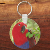 Aria Grand Eclectus Parrot Schlüsselanhänger (Vorderseite)