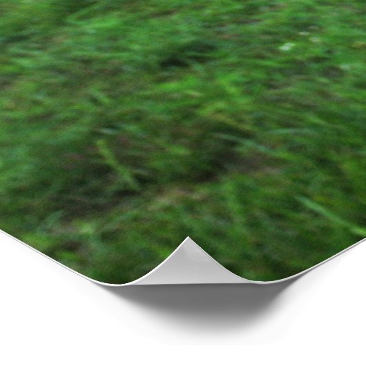 Aria Summer Poster (Ecke)