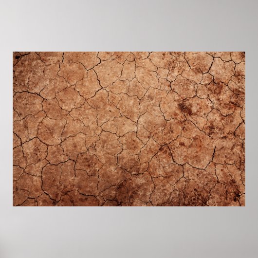 Arid Risse der Erosion Risse Wüste Poster (Vorne)