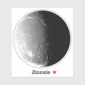 Ariel Aufkleber (Blatt)