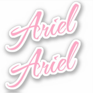 Ariel Decorative Name in Pink x2 Aufkleber