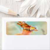 Ariel Firefight fire Flugzeug (Insitu)